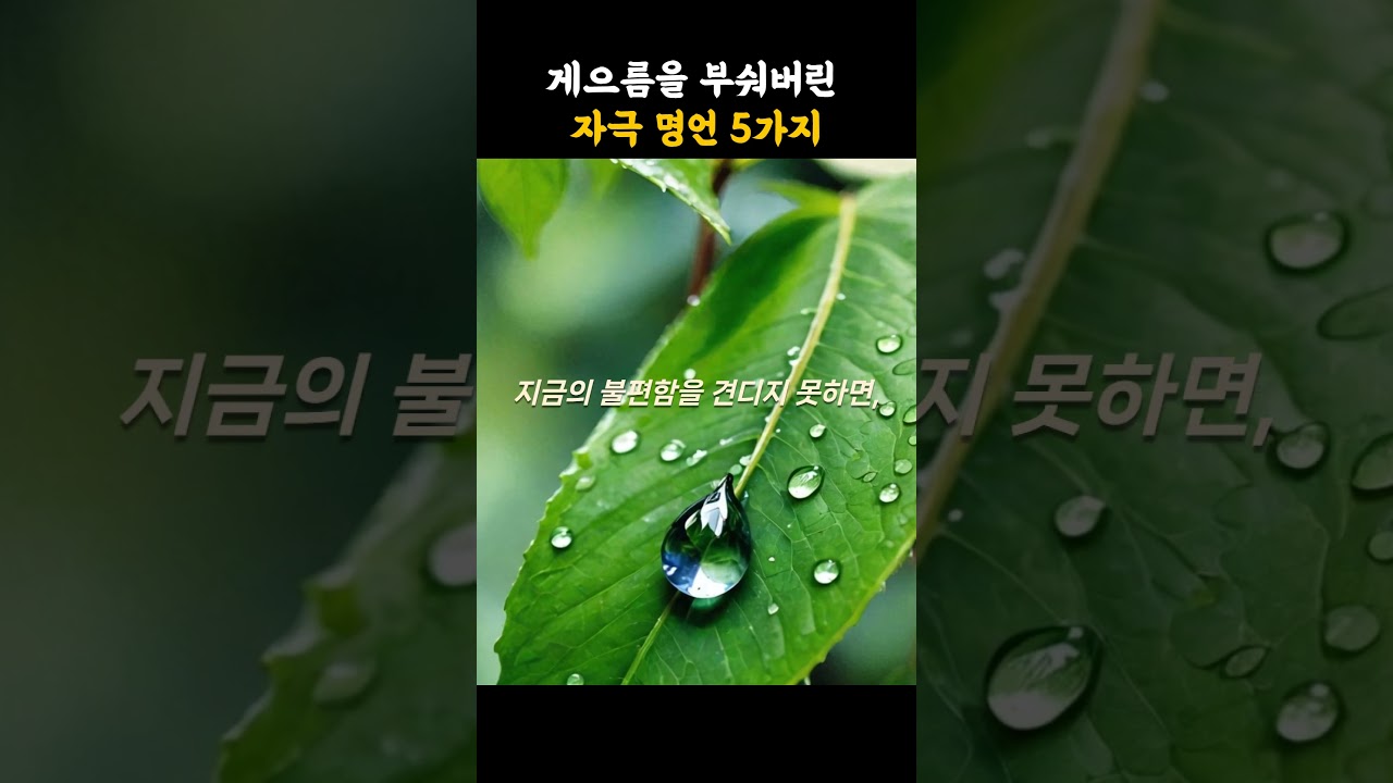 게으름을 부숴버린 자극 명언 5가지 #명언 #멋진글귀 #긍정적마인드 #좋은글