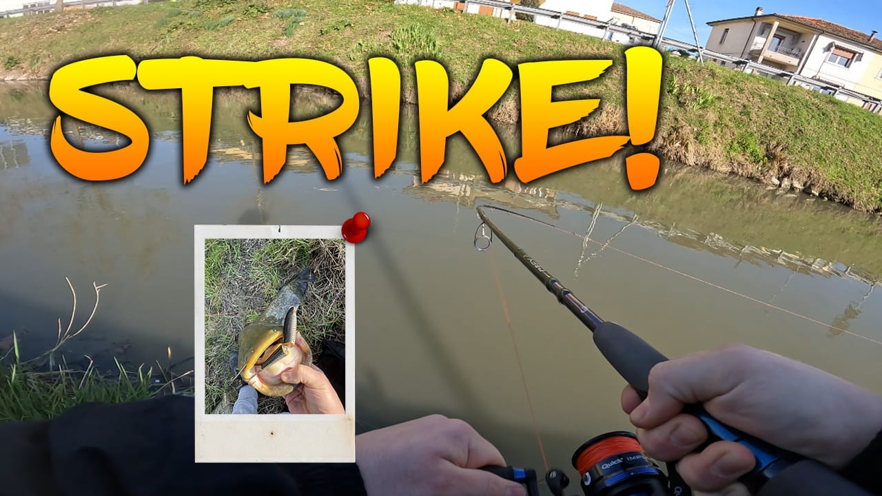 Il PRIMO SILURO a SPINNING del 2026! - Spinning - TZ Fishing