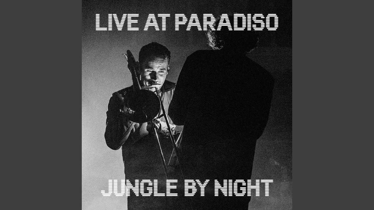 Stormvogel (Live At Paradiso)