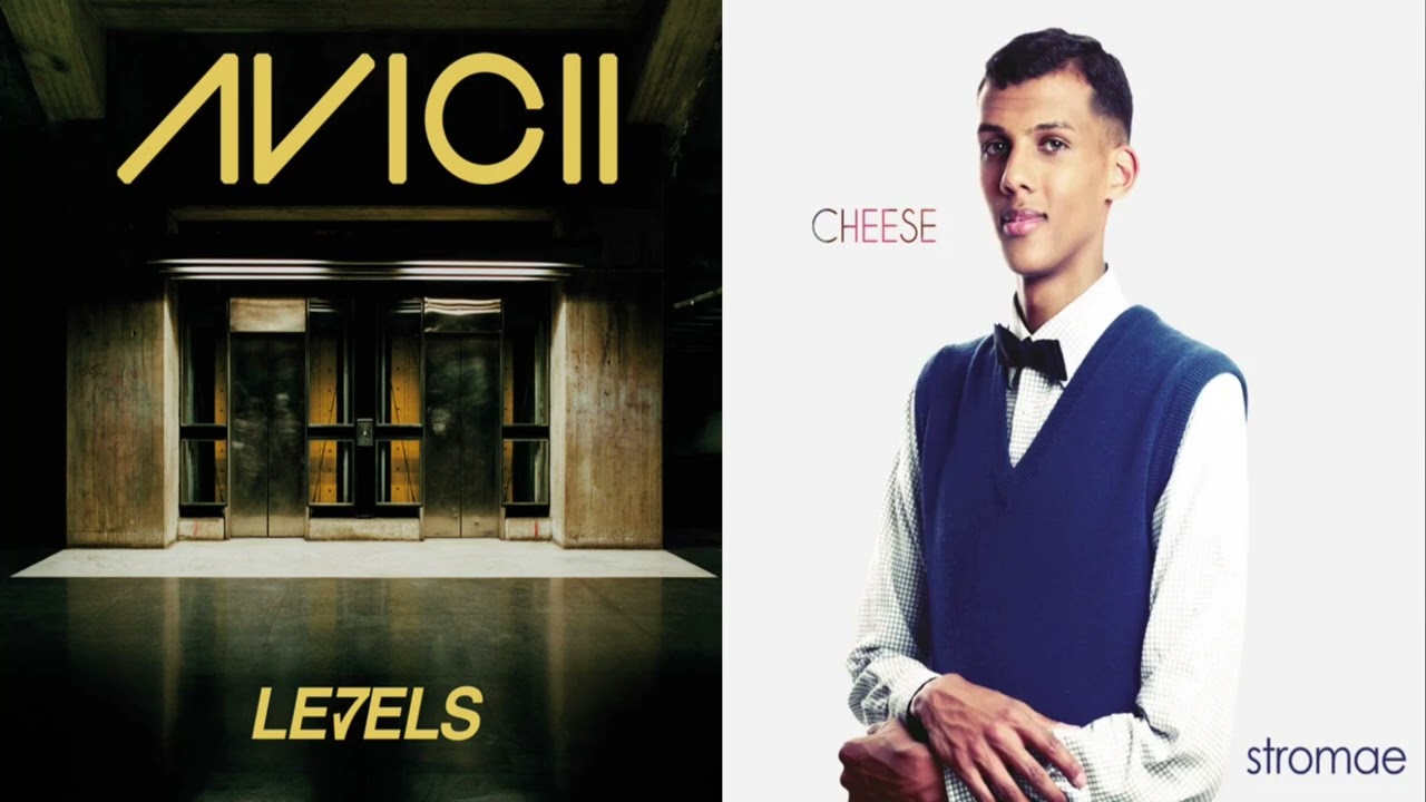 Levels/Alors on Danse (Mashup) -Avicii/Stromae