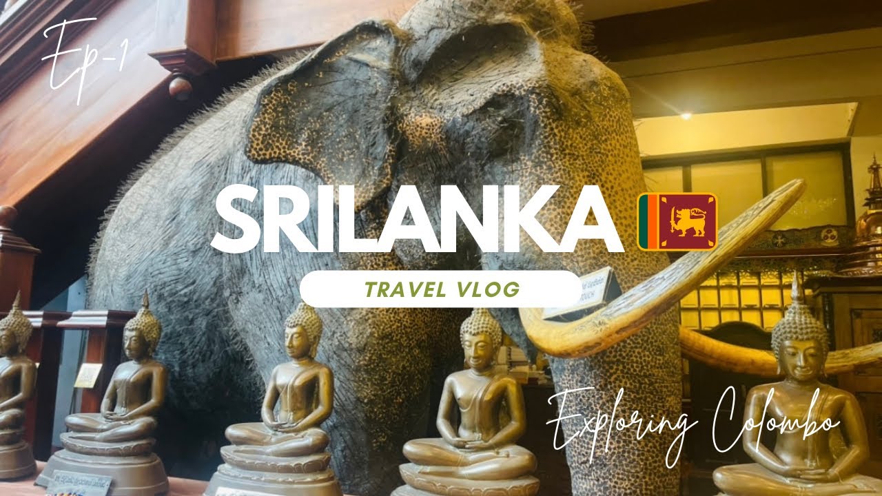 Colombo Sri Lanka Travel Vlog 🇱🇰#travelvlog #srilanka 