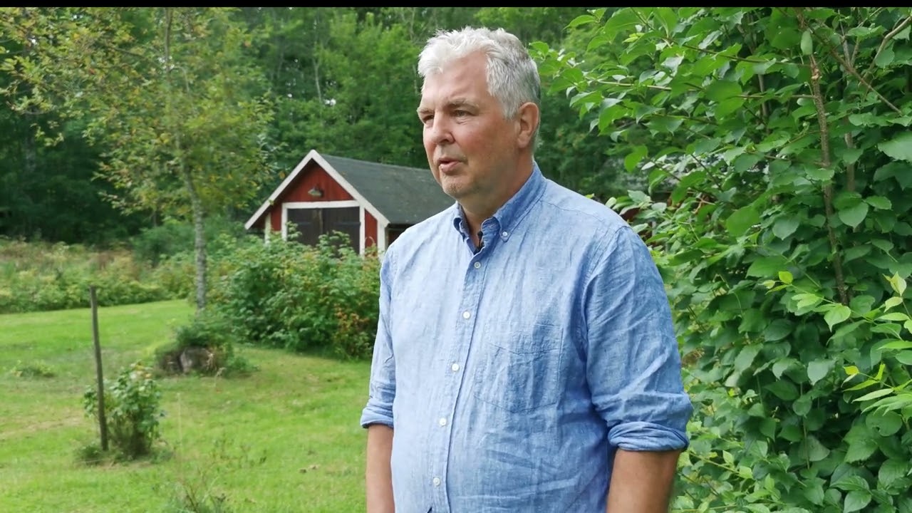 Skogens rätta värde