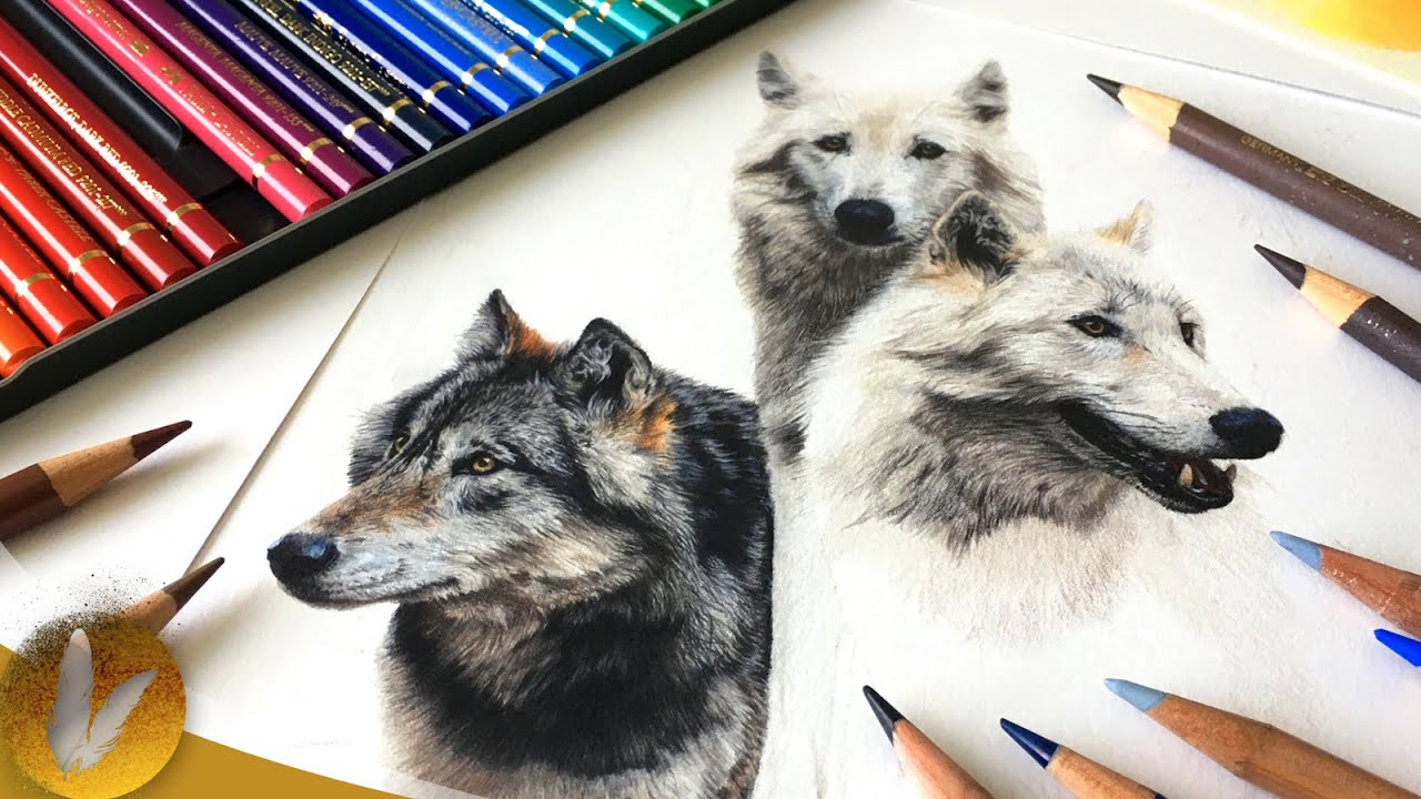Beginning Colored Pencils Guide
