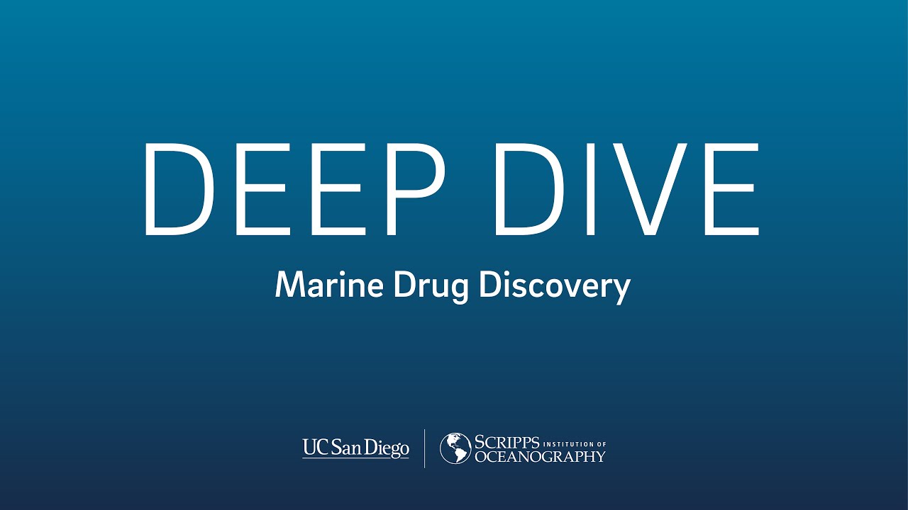 Deep Dive: Marine Drug Discovery with Paul Jensen