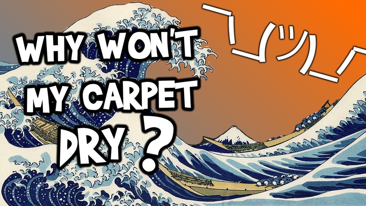 Why does carpet take so long to dry after cleaning?