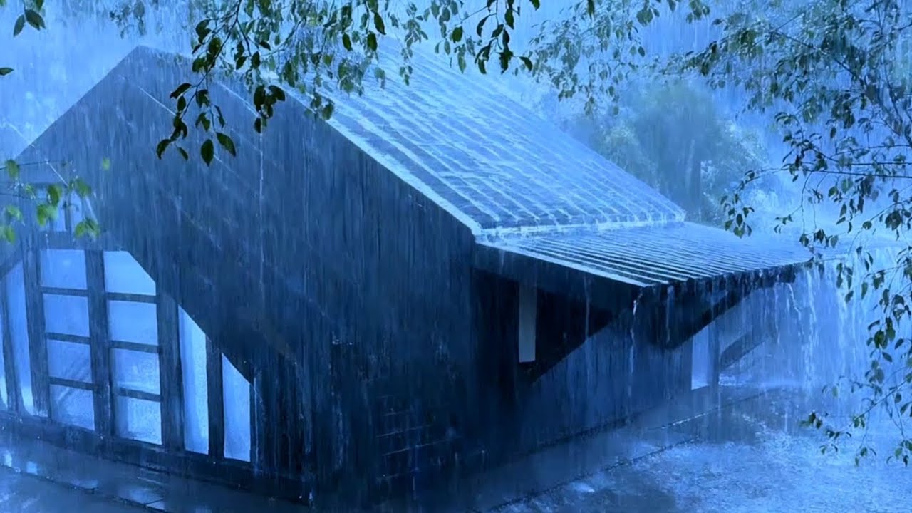 The Sound of Heavy Rain & Massive Thunder on the Moss-Covered Corrugated Iron Roof for Sweet Sleep
