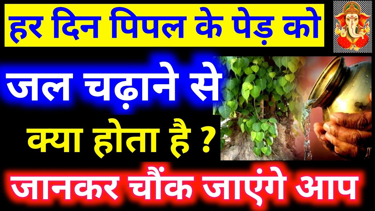हर दिन पीपल के पेड़ को जल चढ़ाने से क्या होता है|Pipal ke ped ke upay
