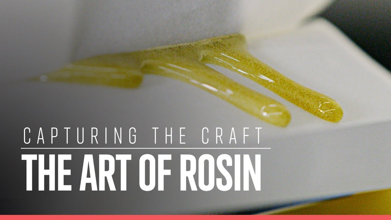 Capturing the Craft: The Art of Rosin | Weedmaps News