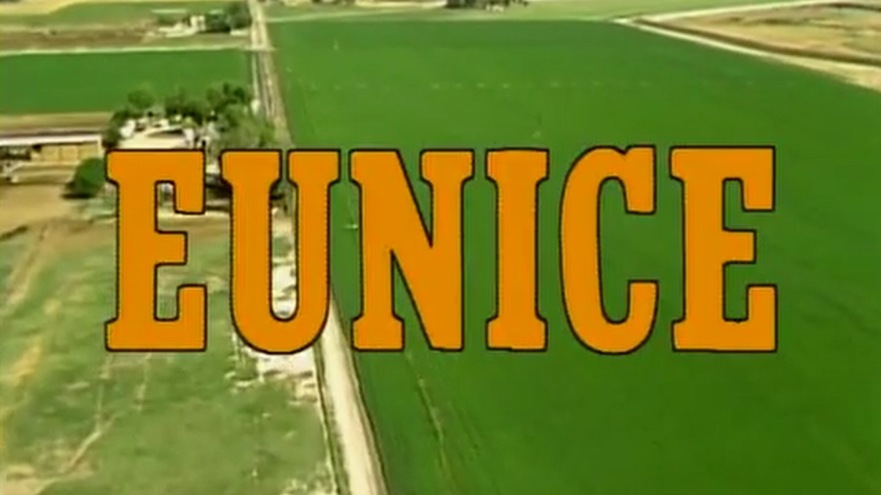 Eunice (1982) &ndash; Mama&rsquo;s Family TV Movie | Best Available Quality