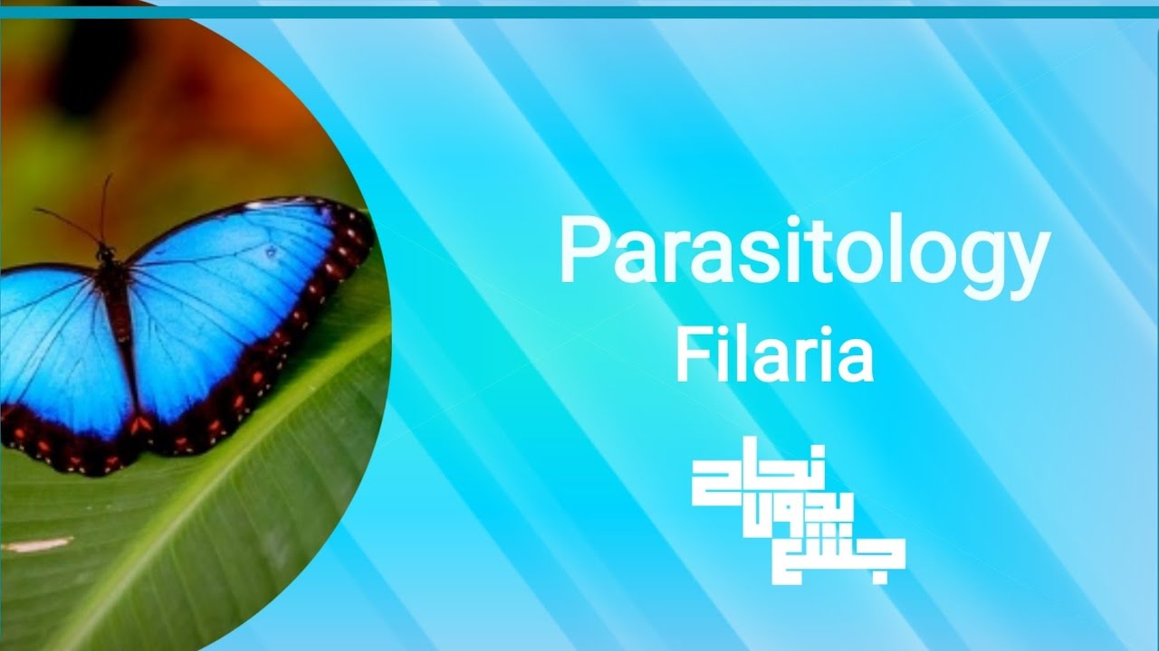 Revision of L1 part 1 , Lymphatic filaria , Para