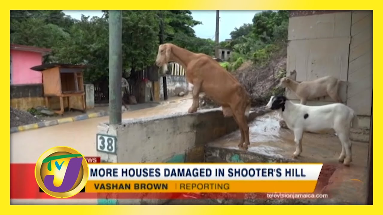 More Houses Damaged in Shooter's Hill | TVJ News