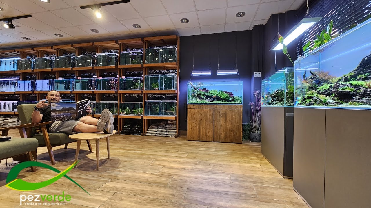 MEJOR TIENDA ACUARIOFILIA MADRID | Pez Verde
