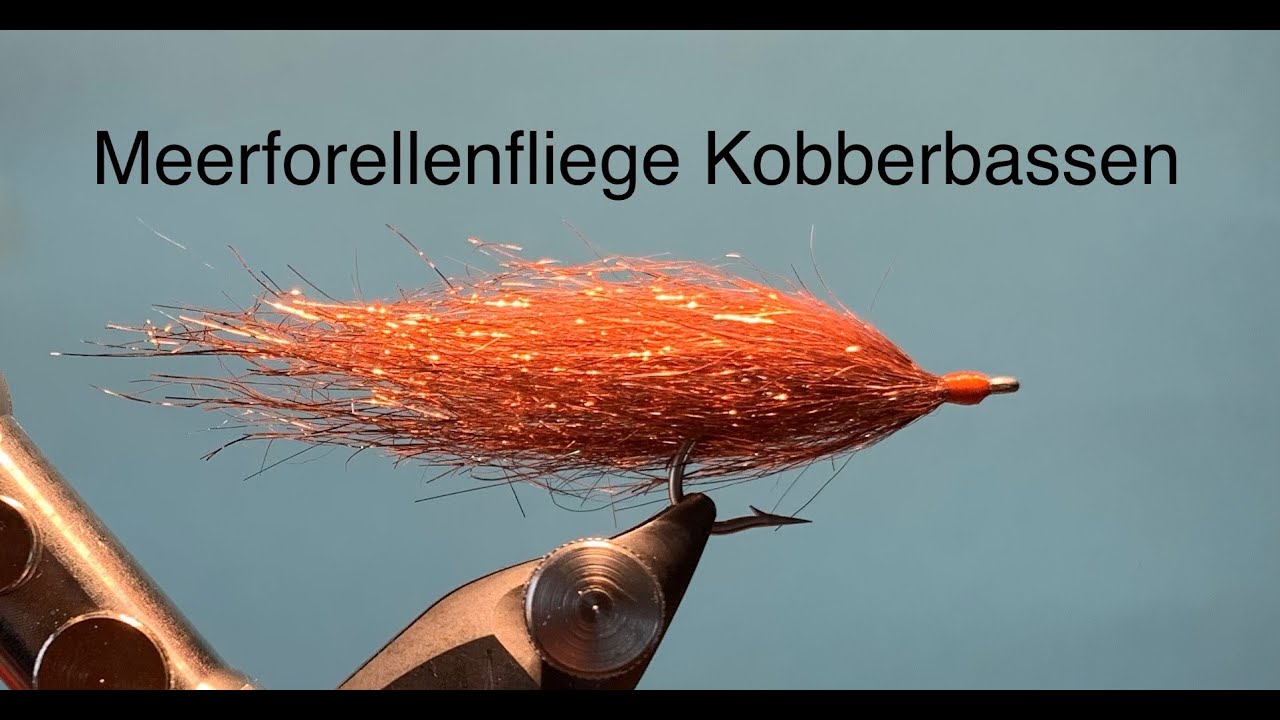 Fliegen binden Woodnflys : Meerforellenfliege Kobberbassen