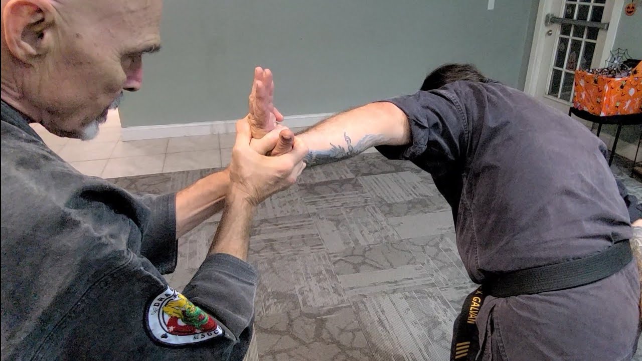 Practical Hapkido same side wrist #5