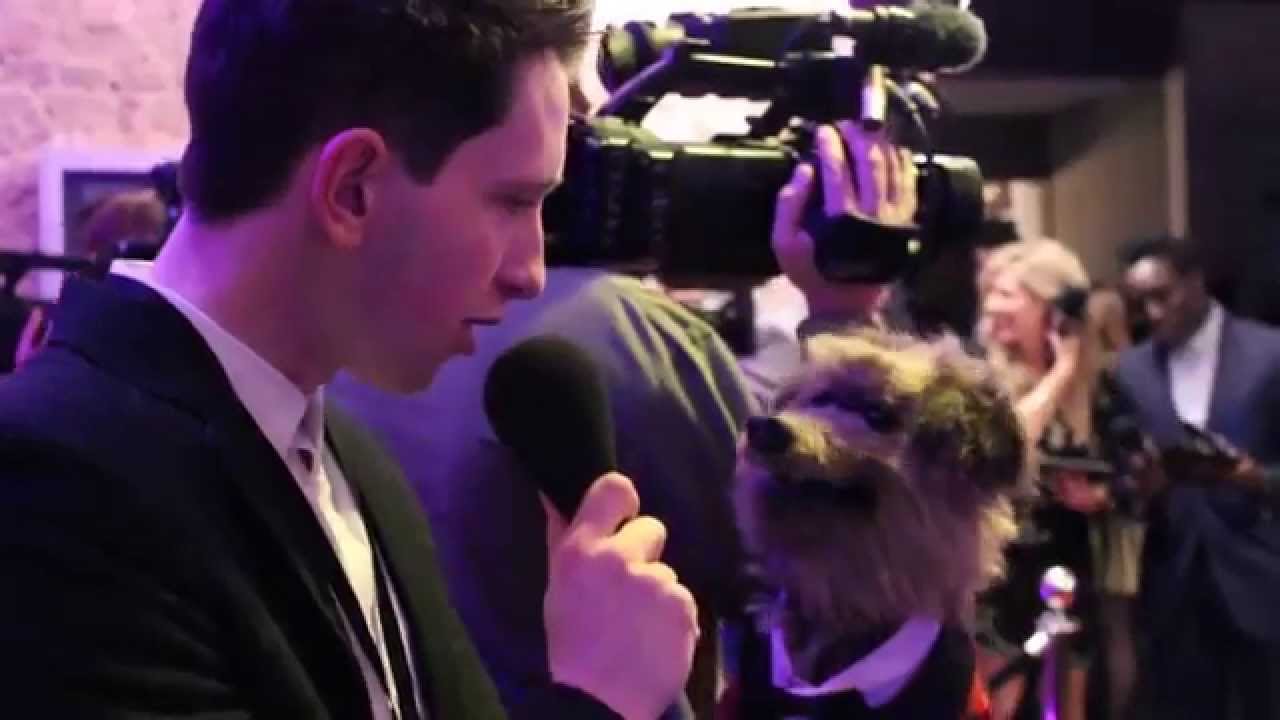 Hacker T. Dog chats to Josh at the BAFTA Children's Awards 2014!