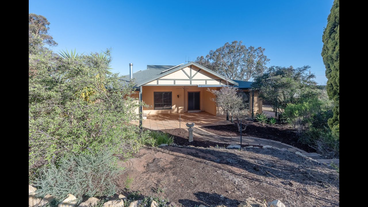 291 Winkie Road, Winkie