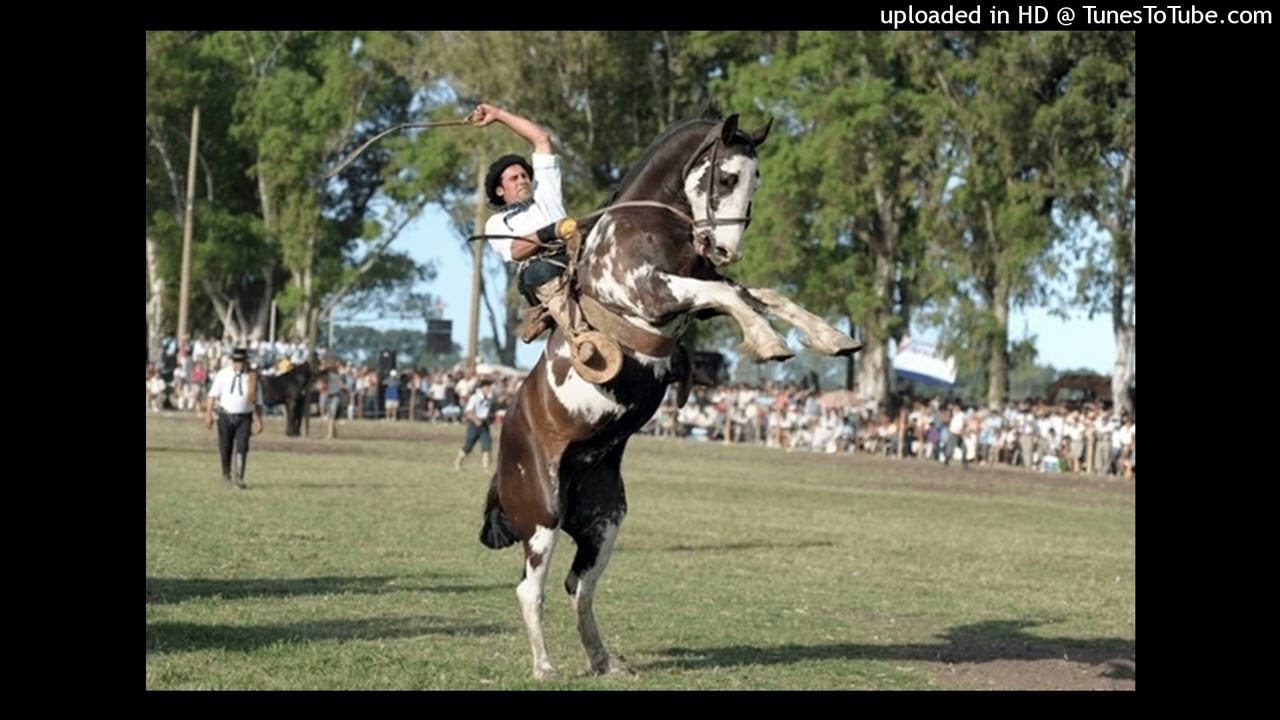 Festival de jineteada en Puerto Ceibo