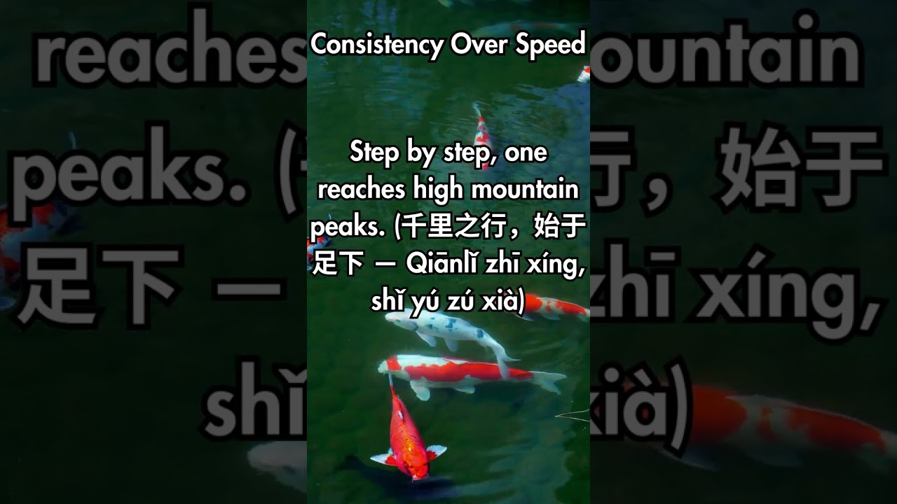 Consistency Over Speed: Wisdom from Ancient Chinese Proverbs