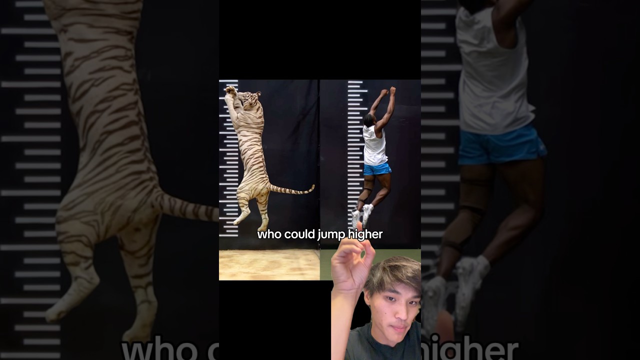 The worlds highest jumper was in a MrBeast video