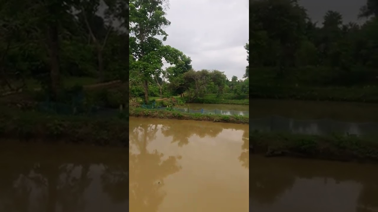 beautiful small river video