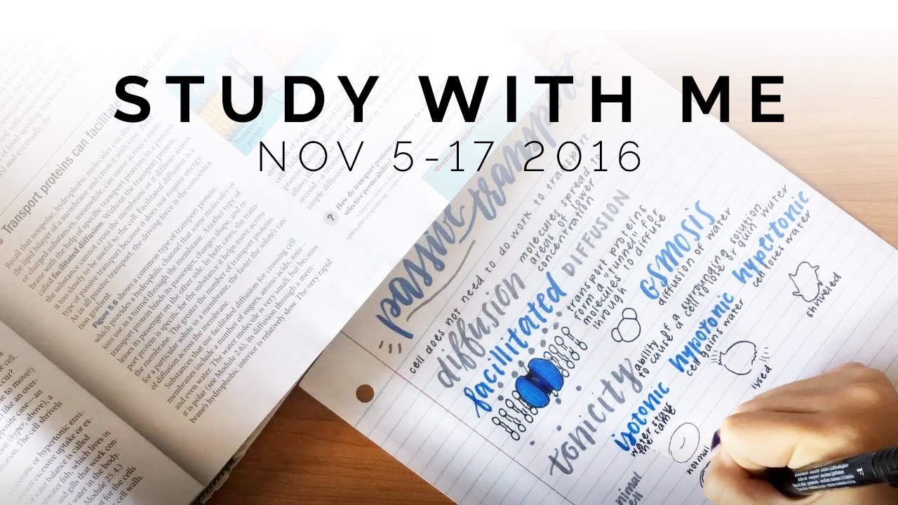 some satisfying notetaking 💙 study with me