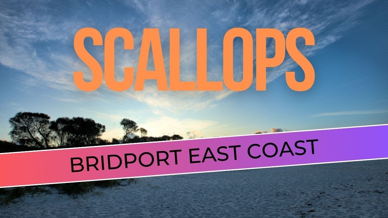 BRIDPORT TO PYENGANA TASMANIA IN A CARAVAN