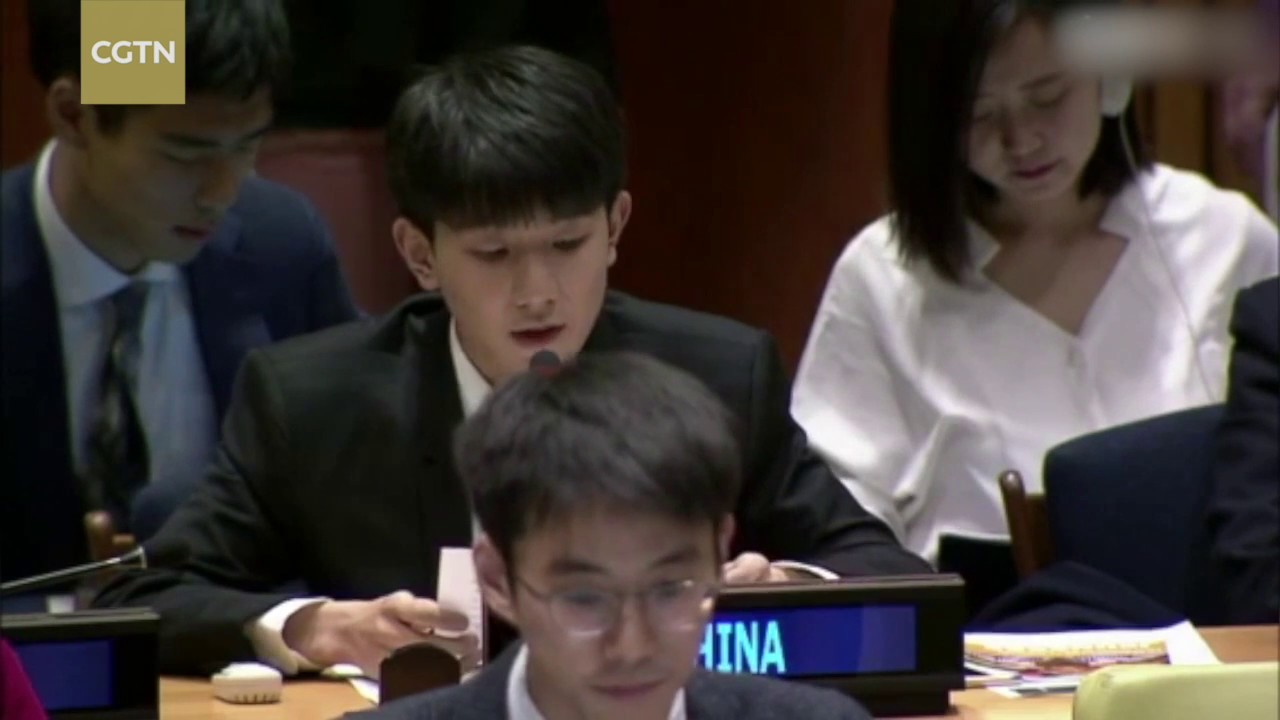 Chinese teen star Wang Yuan's UN speech a hit