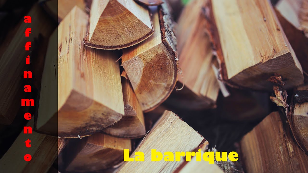 Affinamento del Vino: la Barrique Tutorial Wine&Food rec.