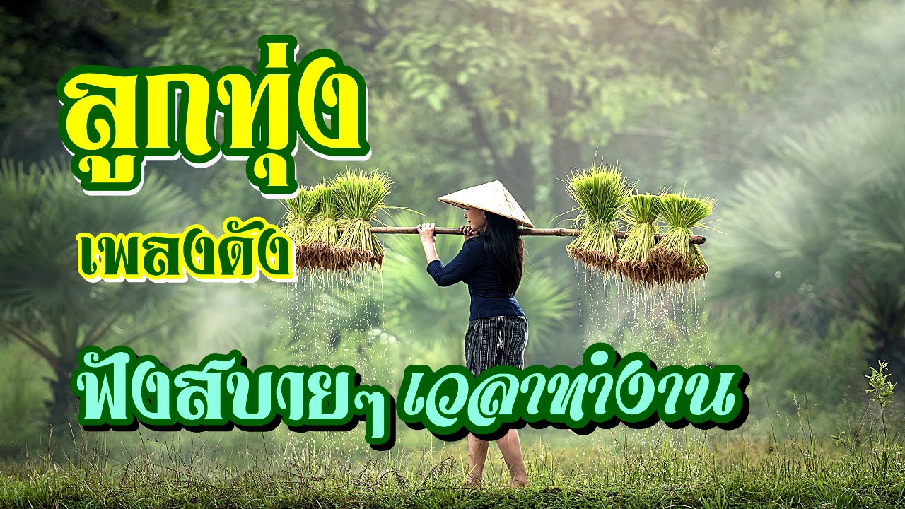 ลูกทุ่งเพลงดังฟังสบาย#เวลาทำงาน(คัดพิเศษ)