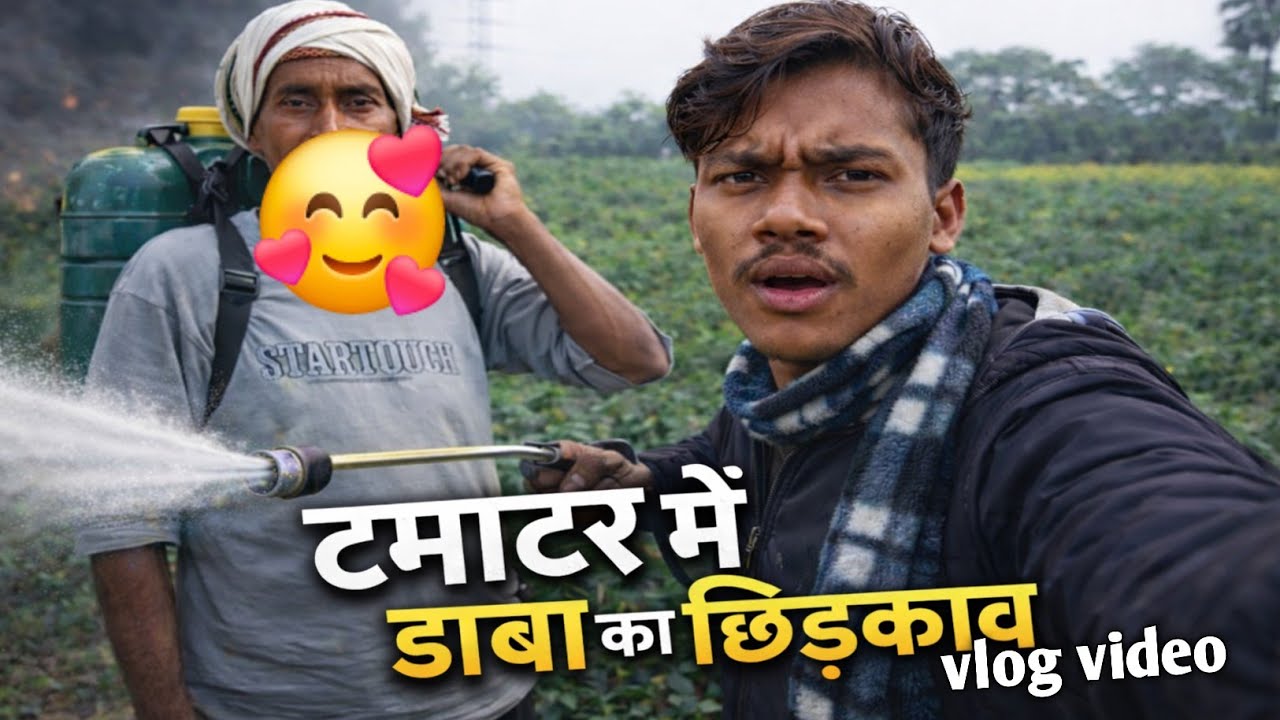 टमाटरमें डाबा का छिडका,🙄 || sprinkle of daba in tomato  🍅 #vlogs video 