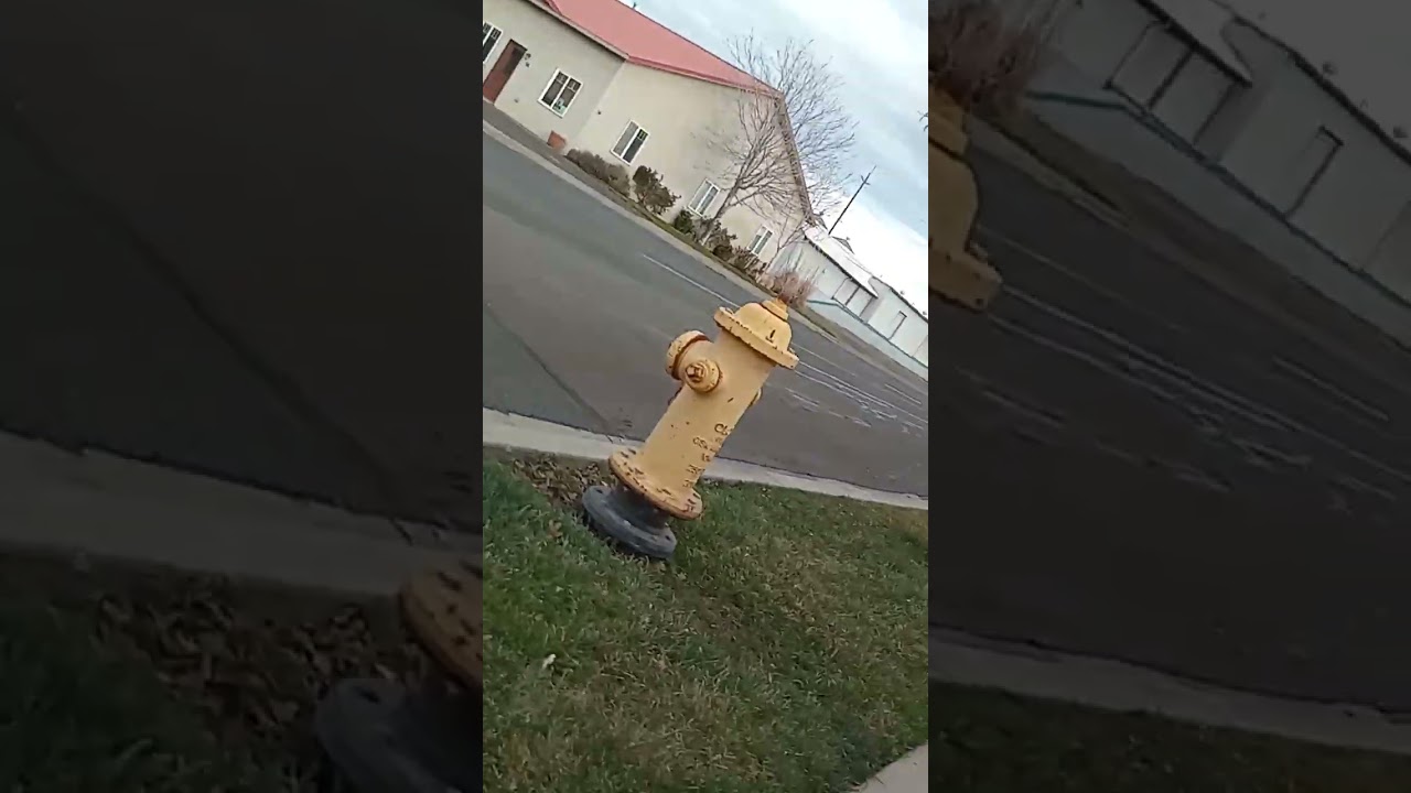Gangstalking