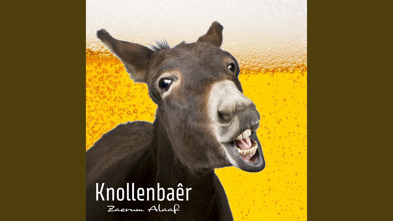 Knollenbaêr