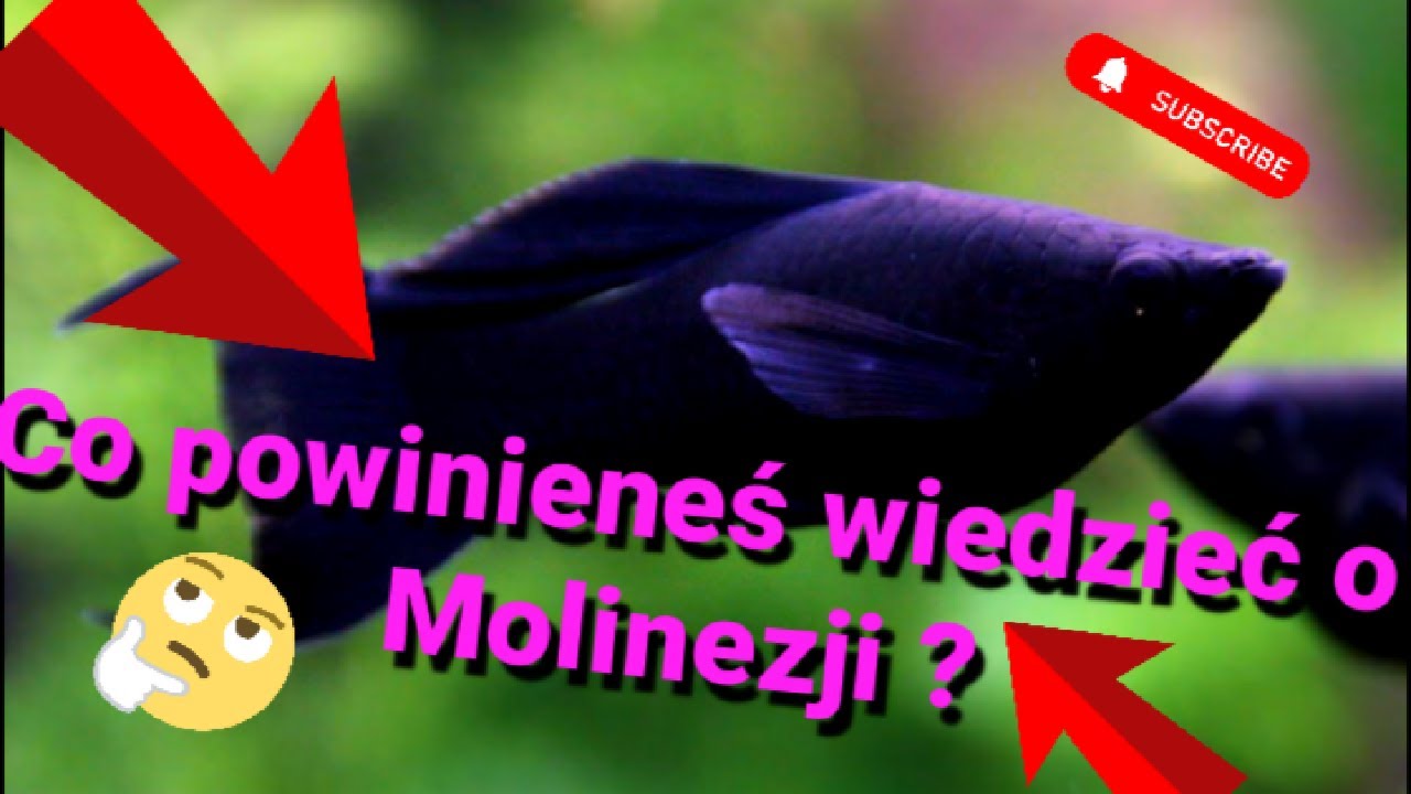 MOLINEZJA - CO POWINIENEŚ WIEDZIEĆ?