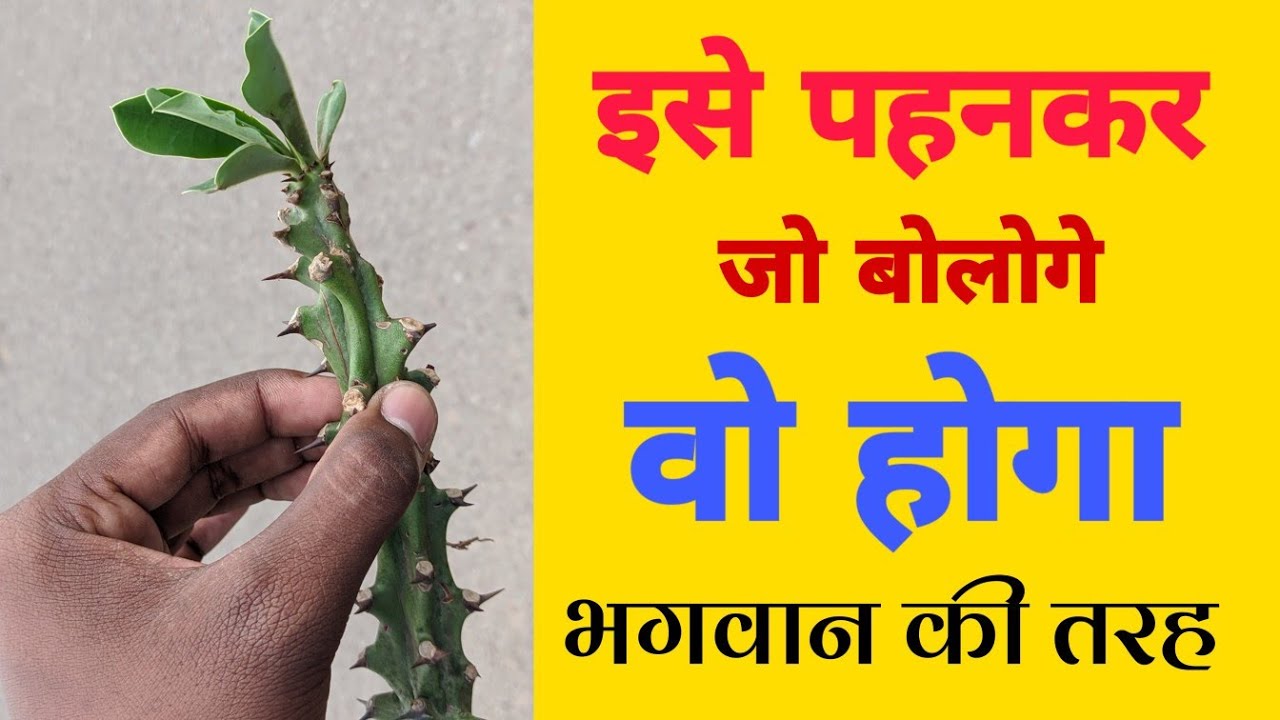 इसे पहनकर जो बोलोगे वो होगा भगवान की तरह, बस इसे पहनकर किसी को बताना बस मत ?