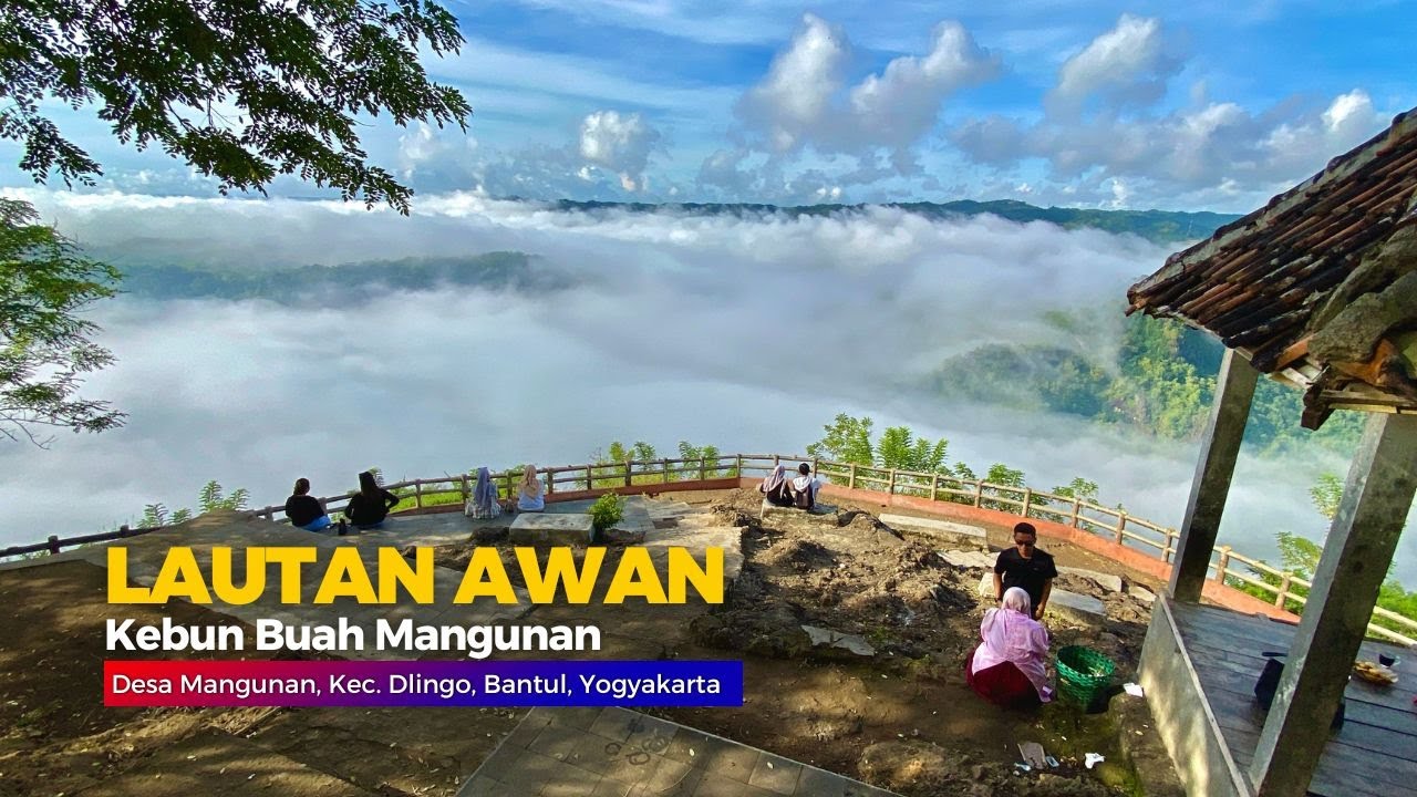 PESONA LAUTAN AWAN KEBUN BUAH MANGUNAN - Cerita Desa Mangunan, Dlingo, Yogyakarta