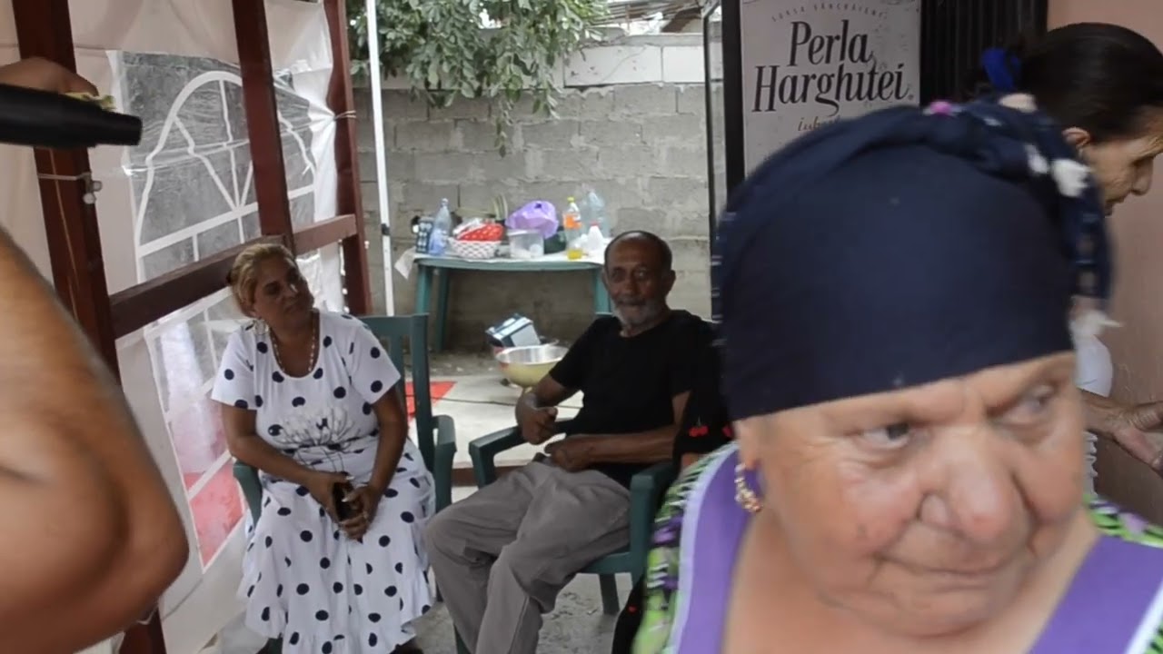 1-HD-logodna tinerilor Denisa  &  Baibora
