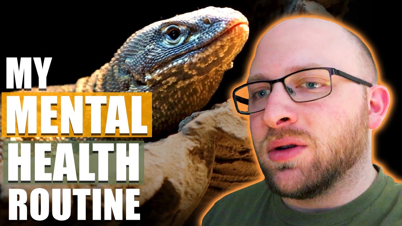 Curing Mental Health With Reptiles
