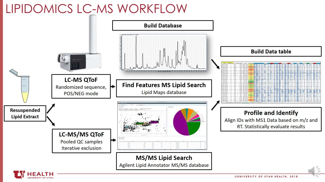 Updates on Using Lipidomics at the University of Utah