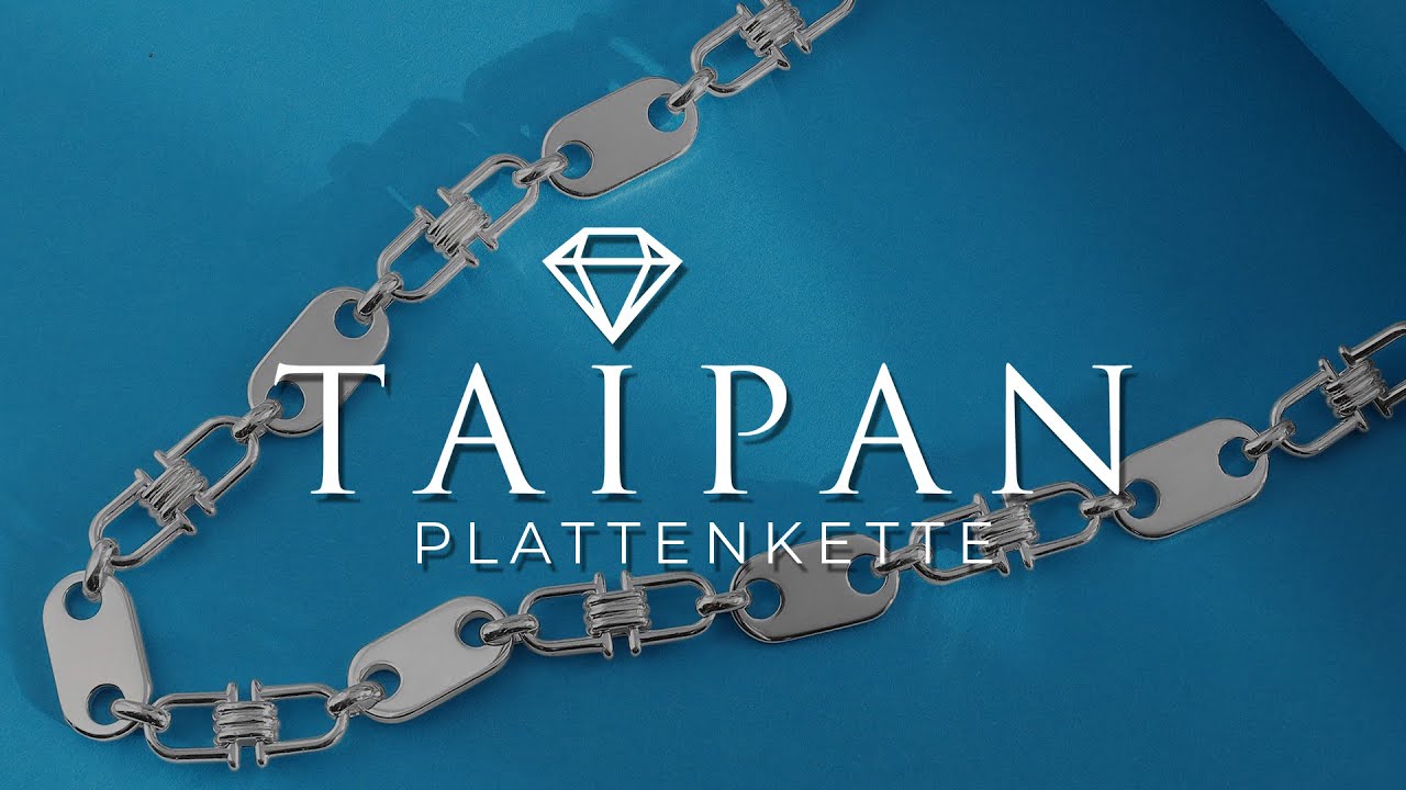 Taipan Plattenkette Steigb&uuml;gelkette 10mm breit 65/70cm