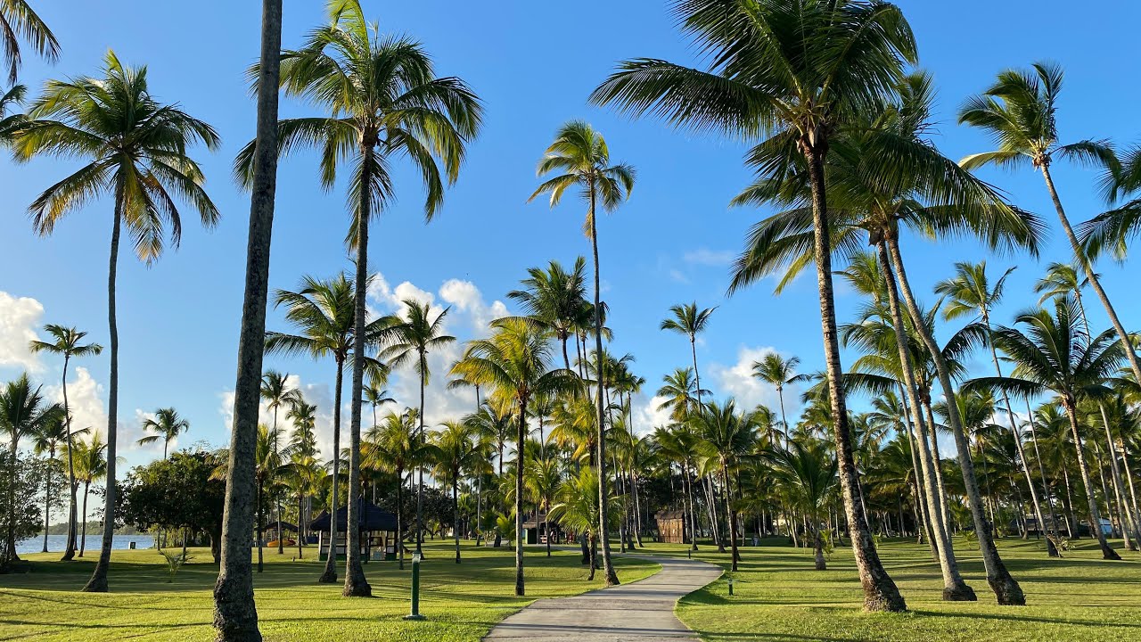 VLOG - TRANSAMÉRICA RESORT COMANDATUBA - Parte 1