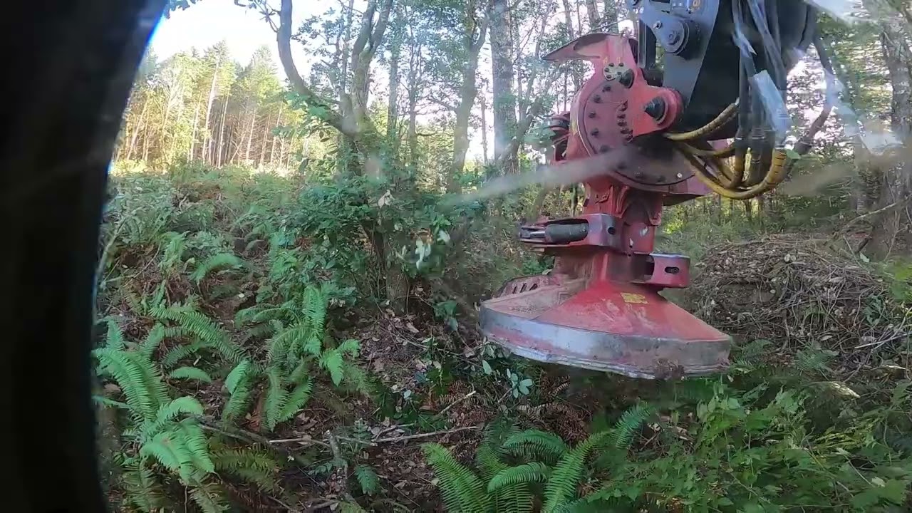 Tigercat LX830E Cutting on the Oregon Coast | GoPro Hero 8