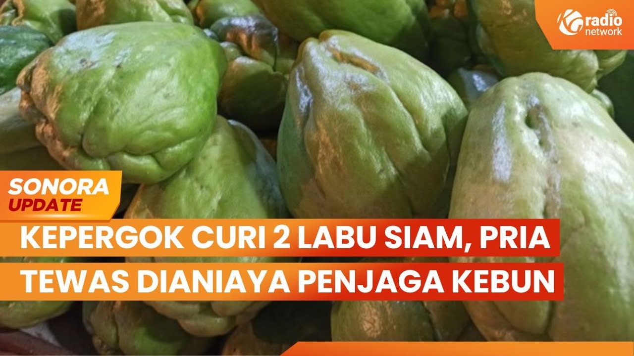 Kepergok Curi 2 Labu Siam, Seorang Pria Tewas Dianiaya Penjaga Kebun | SONORA UPDATE
