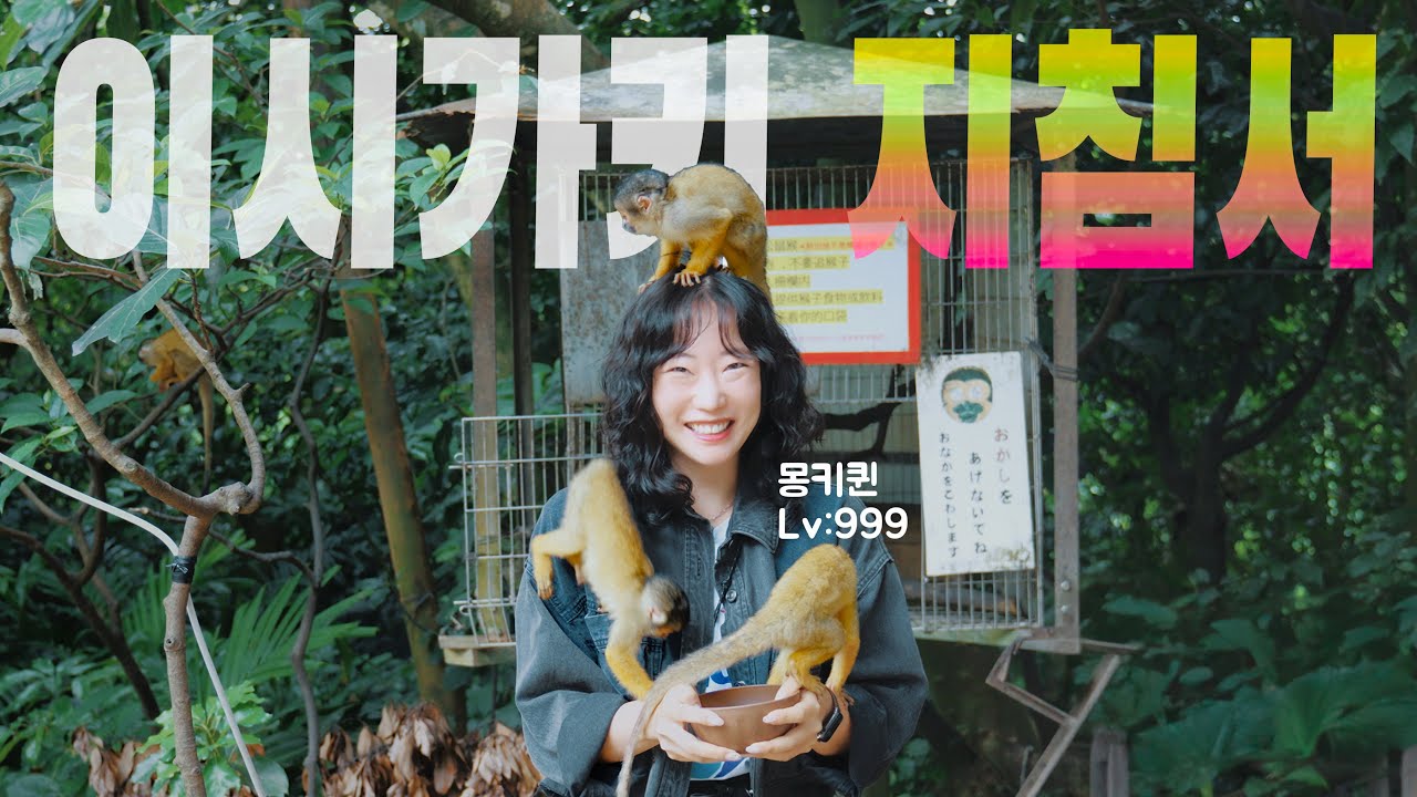 일본 이시가키섬 필수 관광지를 소개합니다 (모험가 길드 인증)