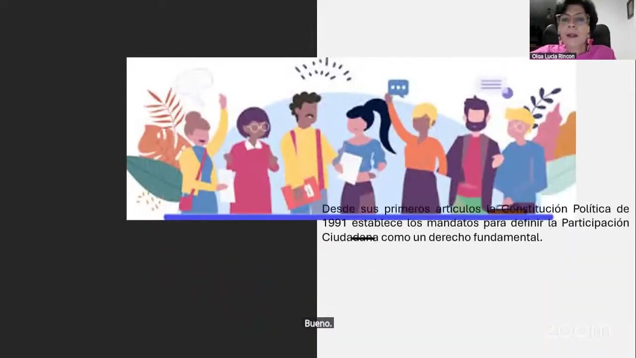 Participación ciudadana, veedurías