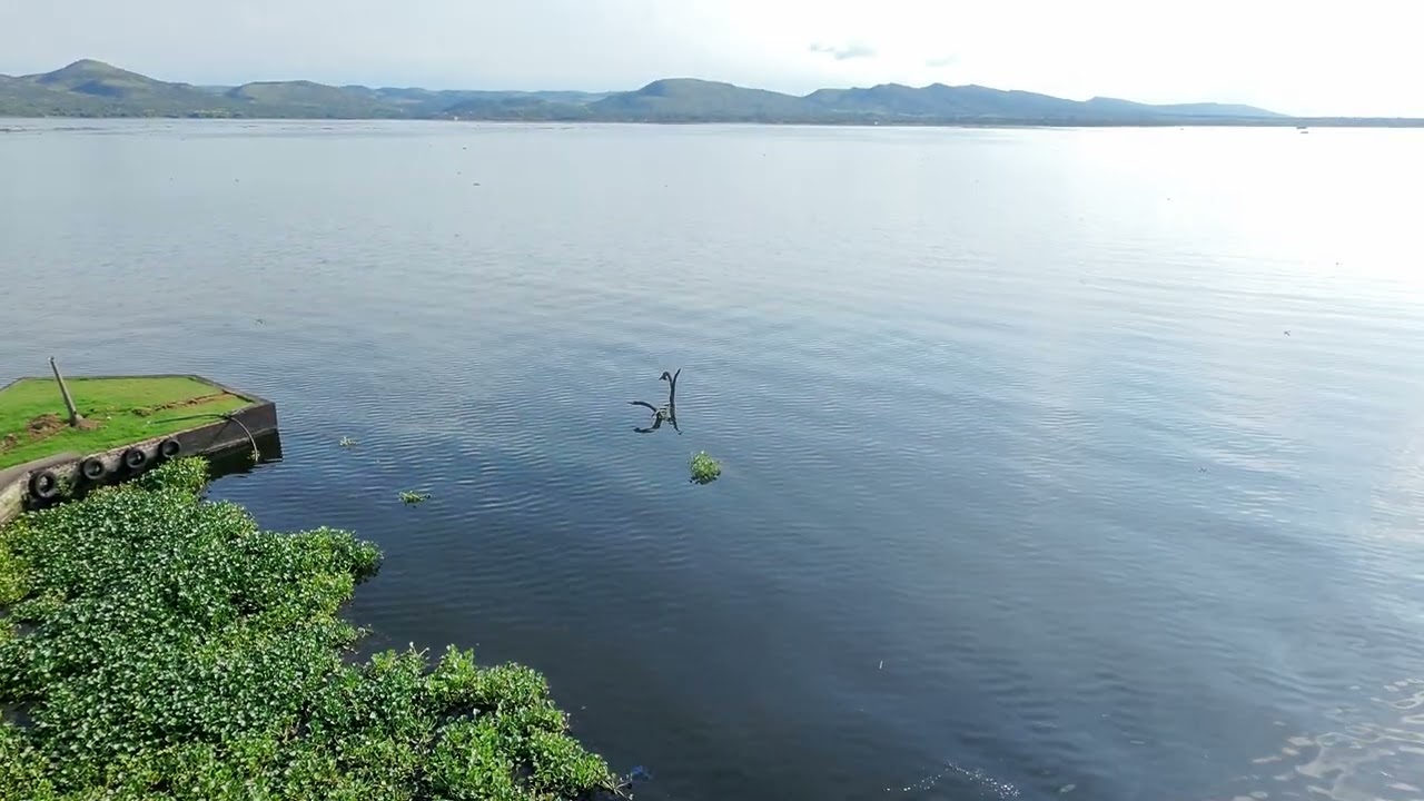 Drone Shot of Hartbeespoort Dam 6