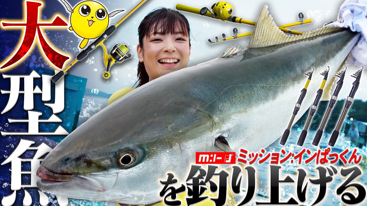 🔰ブリが世界一簡単に釣れる！？子供用の竿でもブリが釣れるのはがまかつだけ⁉