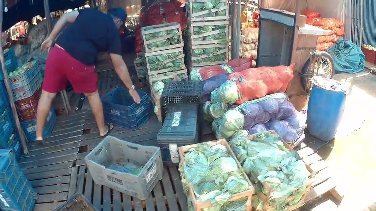 Ceasa de arapiraca Alagoas 
