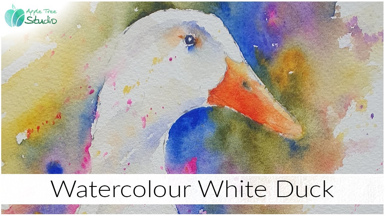 Watercolour White Duck Warm-up