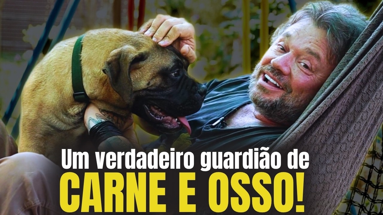 BULLMASTIFF: UM GIGANTE QUE NÃO DEIXA NINGUÉM PASSAR!