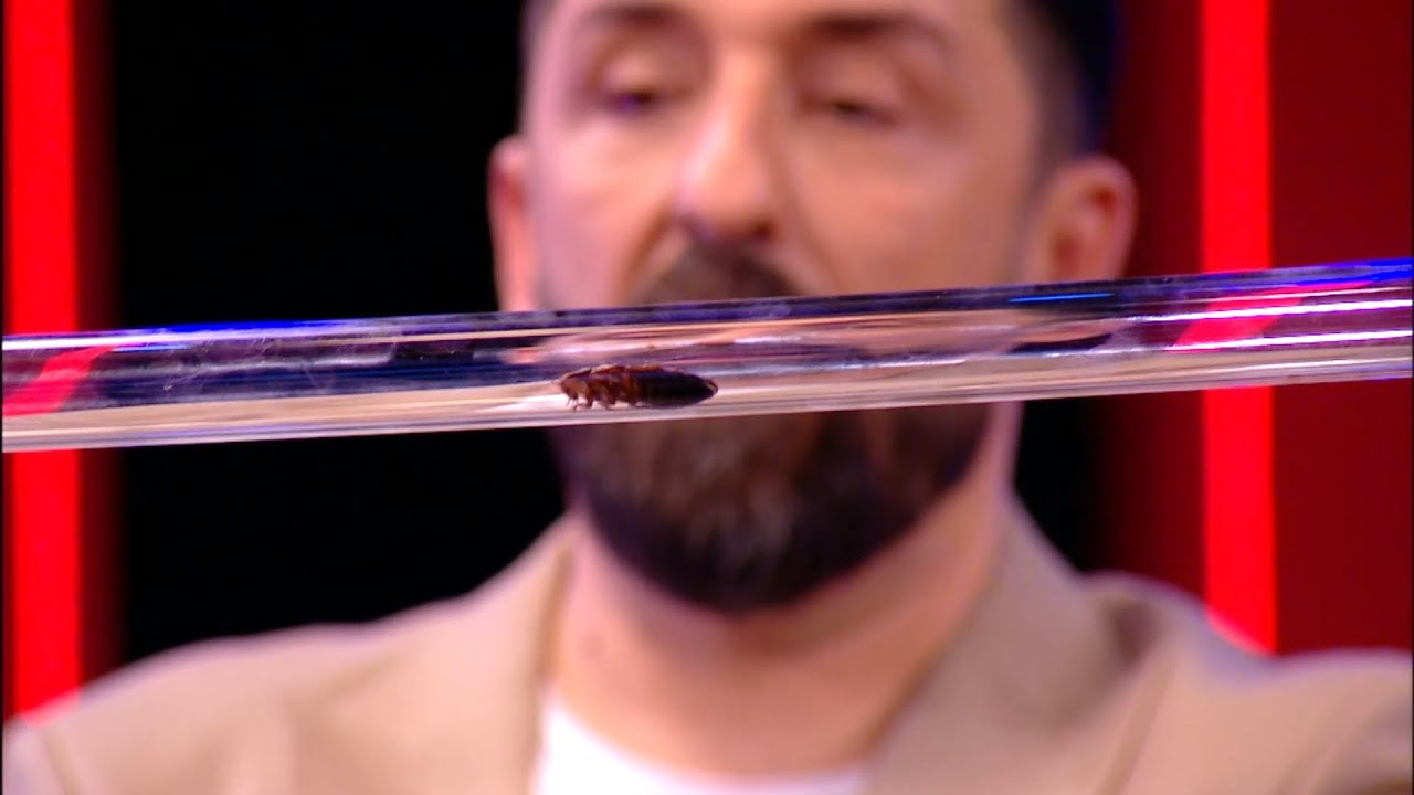 Buba u cevi - Desingerica vs Filip Đukić (Ami G Show S16)